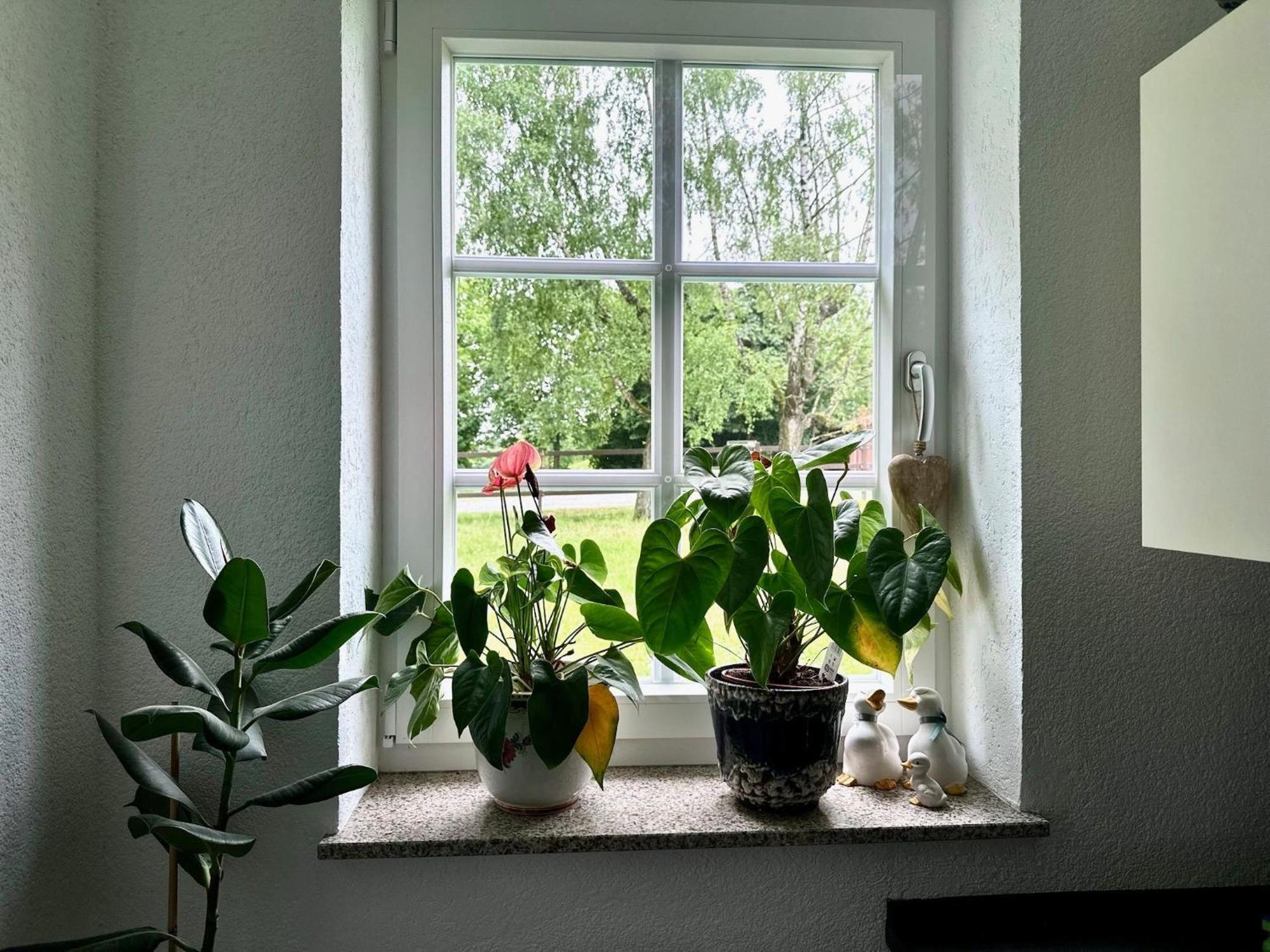 Hof Hummersen Appartement *